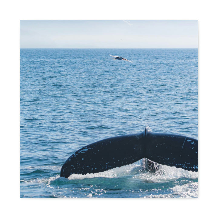 A Whale and A Mountain - Canvas