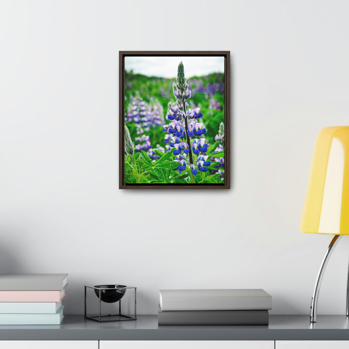 Glowing Lupin - Canvas with Frame