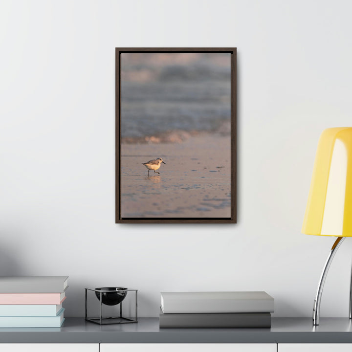 Sanderling in Soft Dusk Light - Canvas with Frame