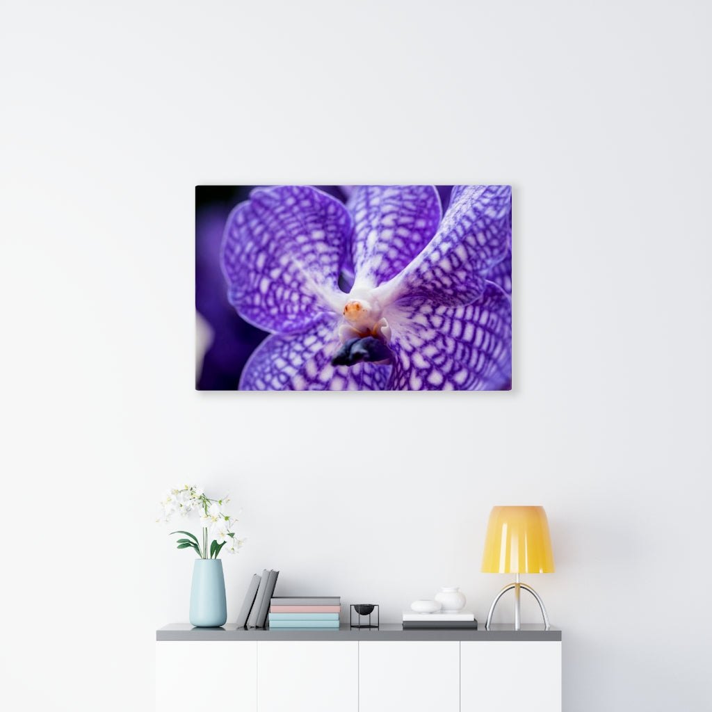 Orchid Detail - Canvas