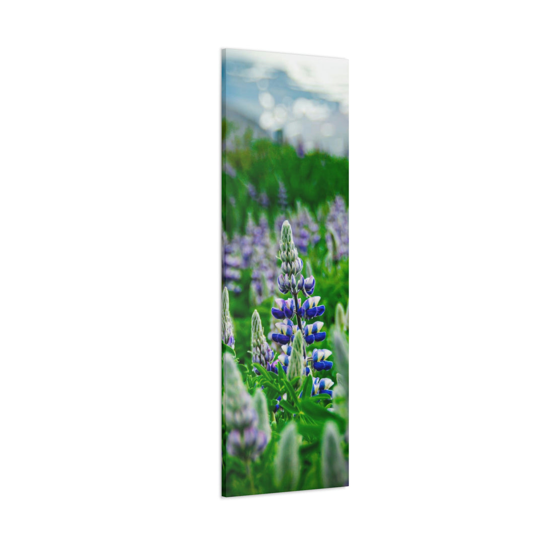 Glowing Lupin with Mountains - Canvas