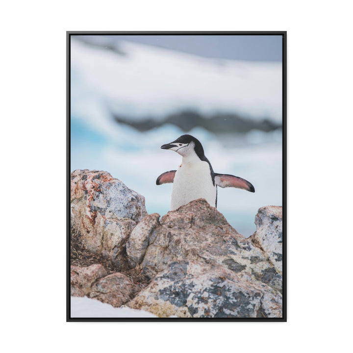 Stretched Penguin - Canvas with Frame