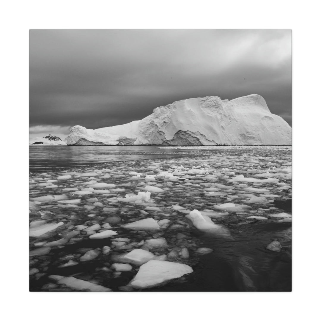 Lane of Ice In Black and White - Canvas