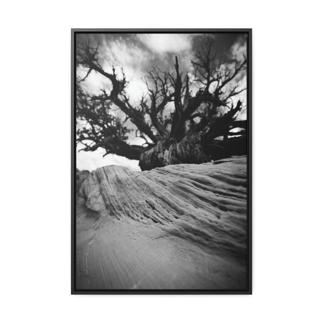 Desert Reach in Black and White - Canvas with Frame