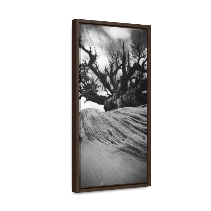 Desert Reach in Black and White - Canvas with Frame