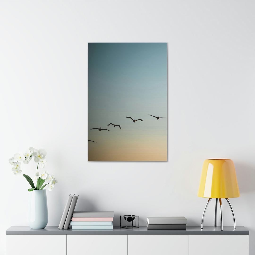 Brown Pelicans in Flight - Canvas