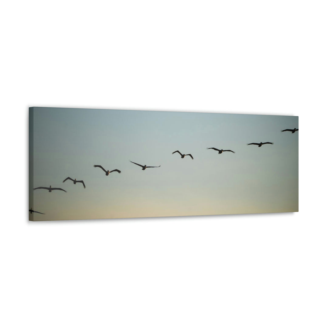 Brown Pelicans in Flight - Canvas