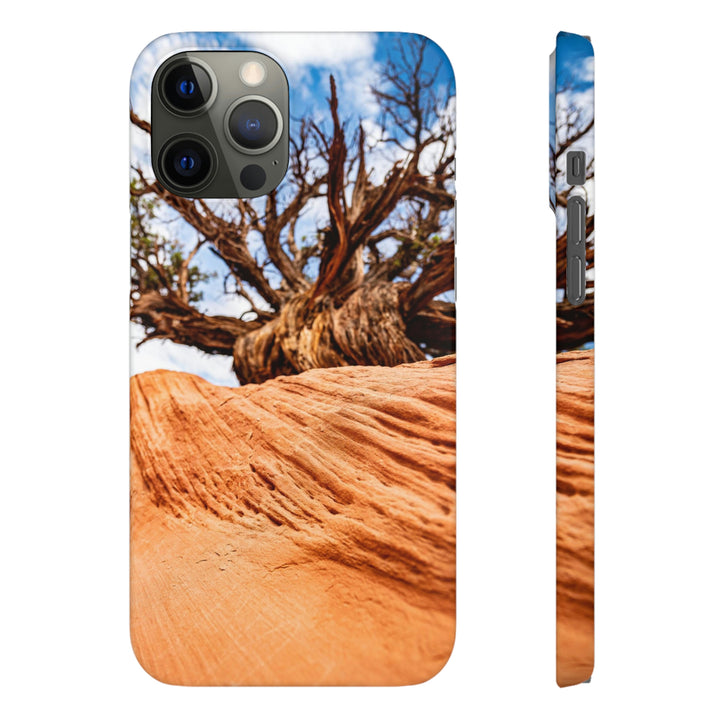 Desert Reach - Phone Case