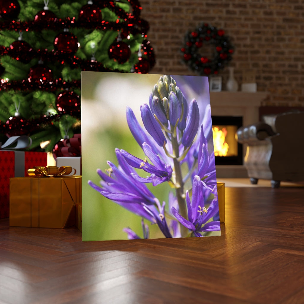 Camas in Bloom - Canvas