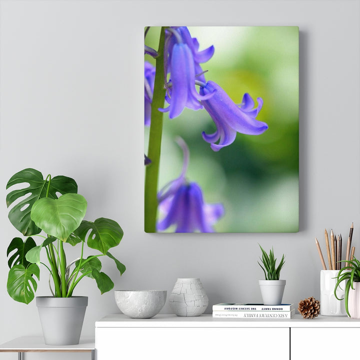 Delicate Bell - Canvas