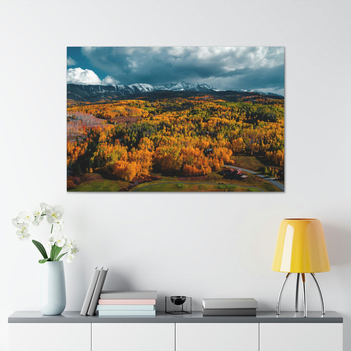 Golds of Autumn - Canvas