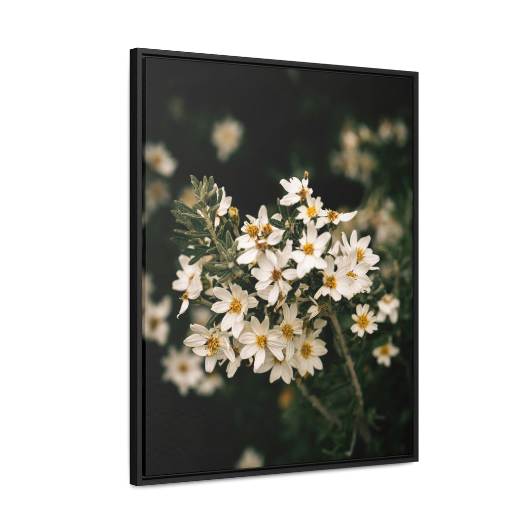 A Touch of White - Canvas with Frame