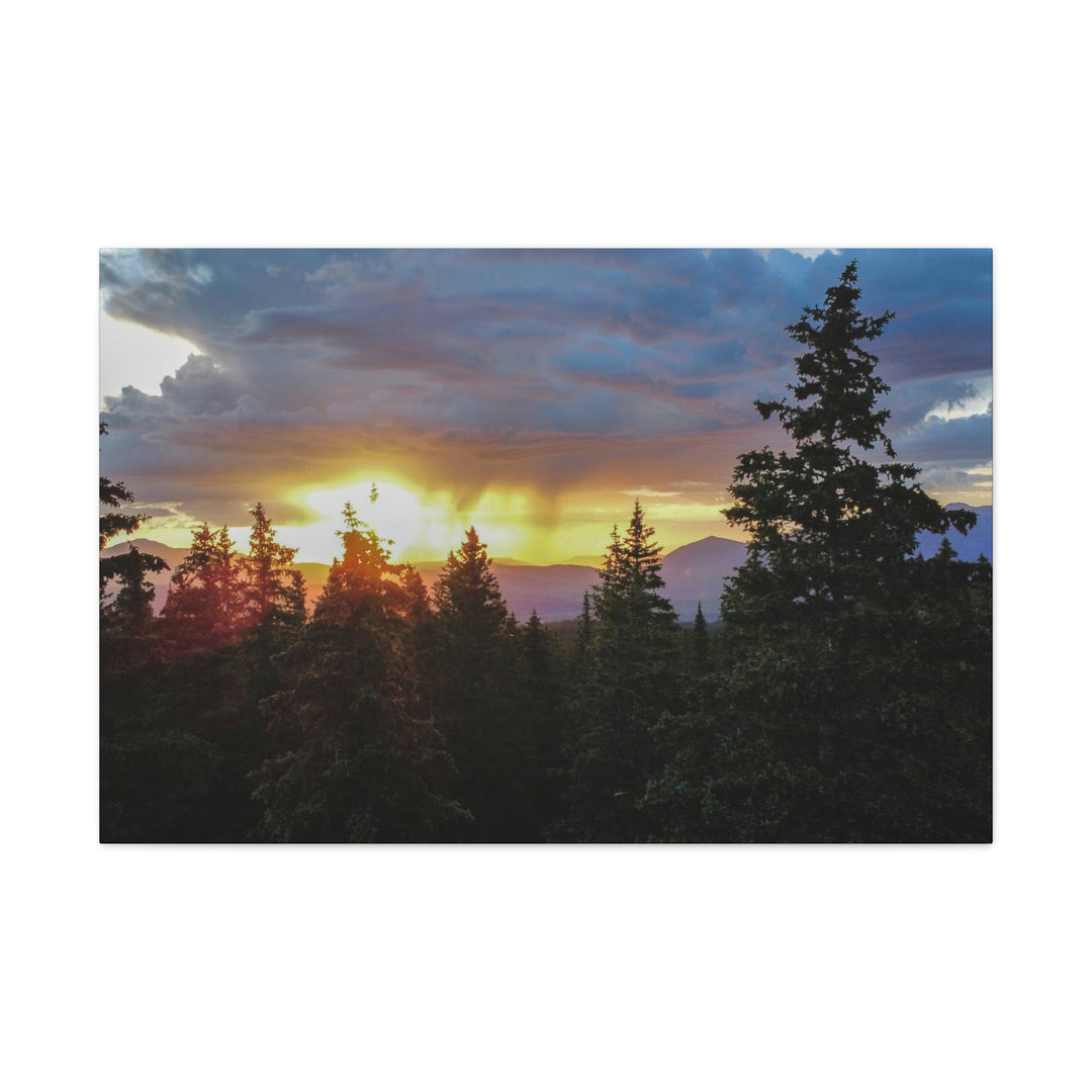 Rainy Sunset Through the Trees - Canvas