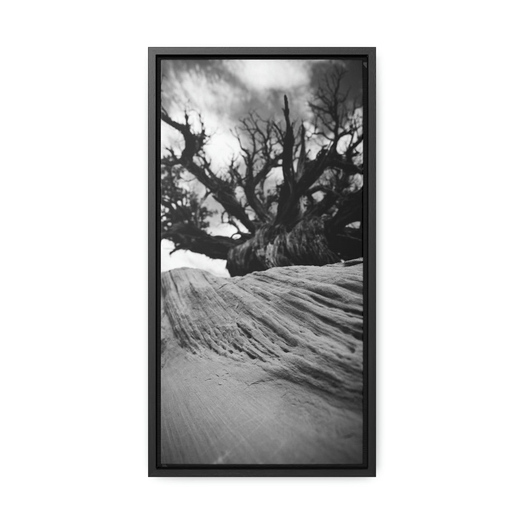 Desert Reach in Black and White - Canvas with Frame