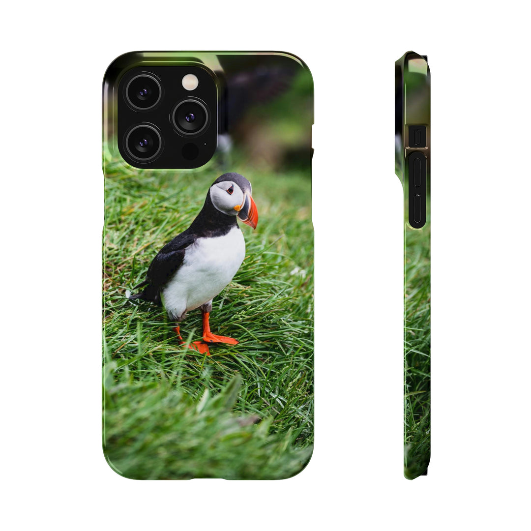 Curious Eye - Phone Case