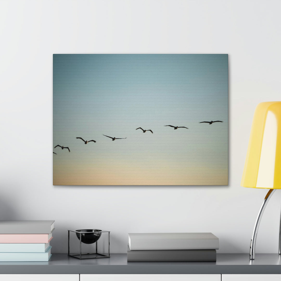 Brown Pelicans in Flight - Canvas