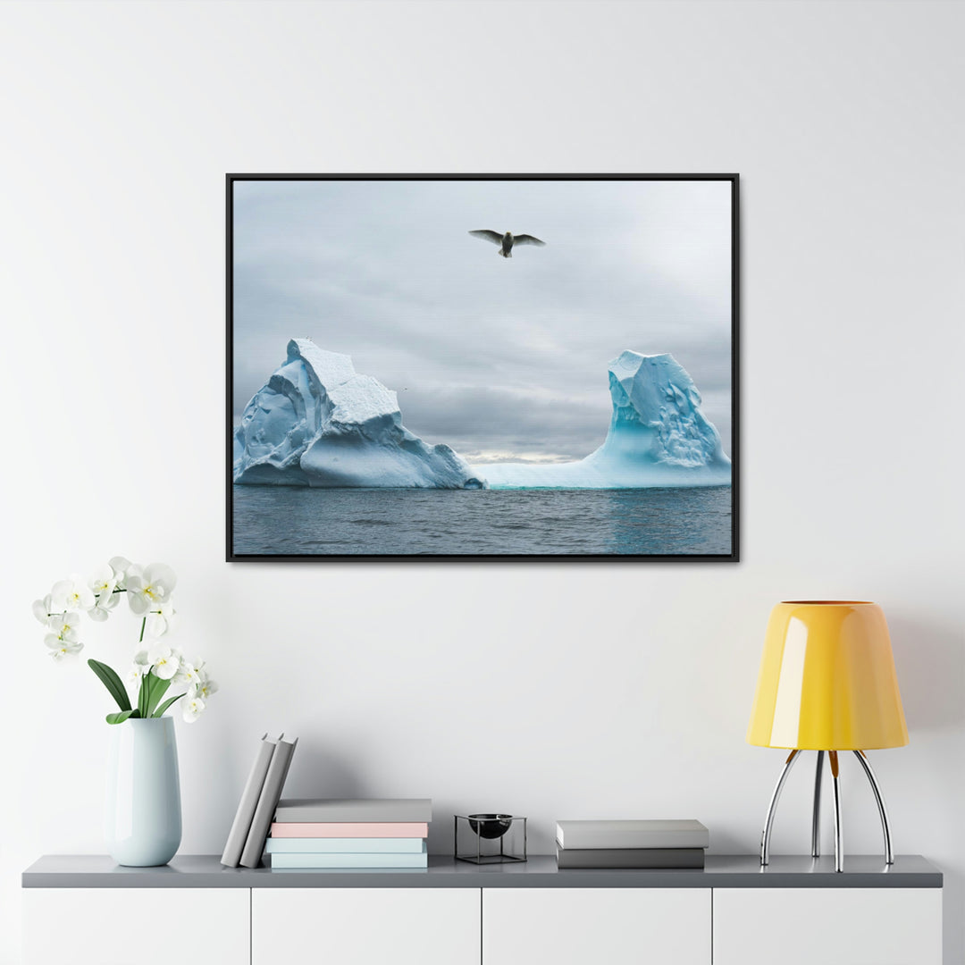 Antarctic Flight - Canvas with Frame