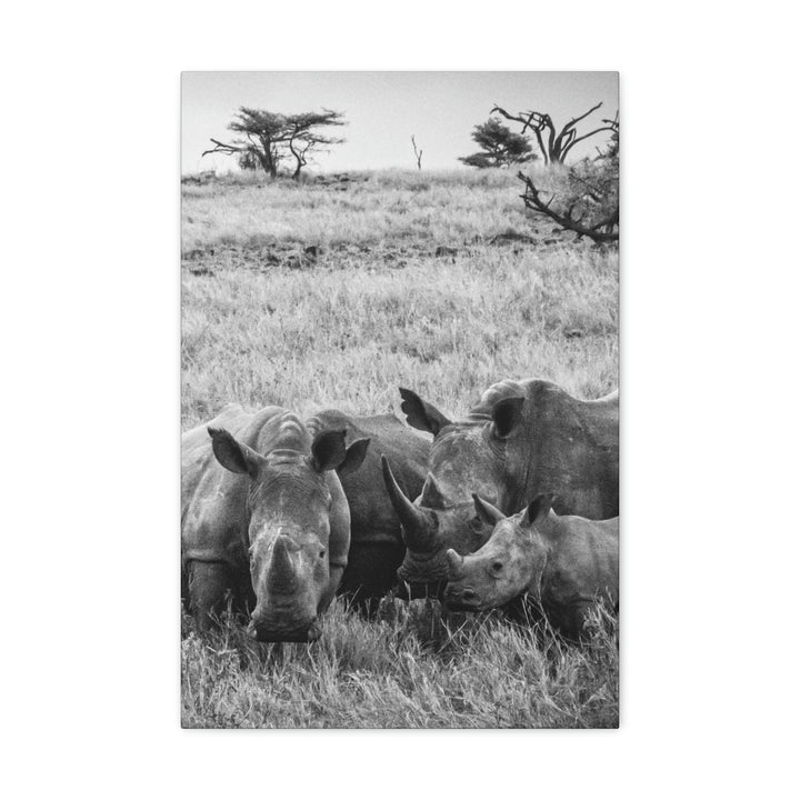 Rhino Family in Black and White - Canvas