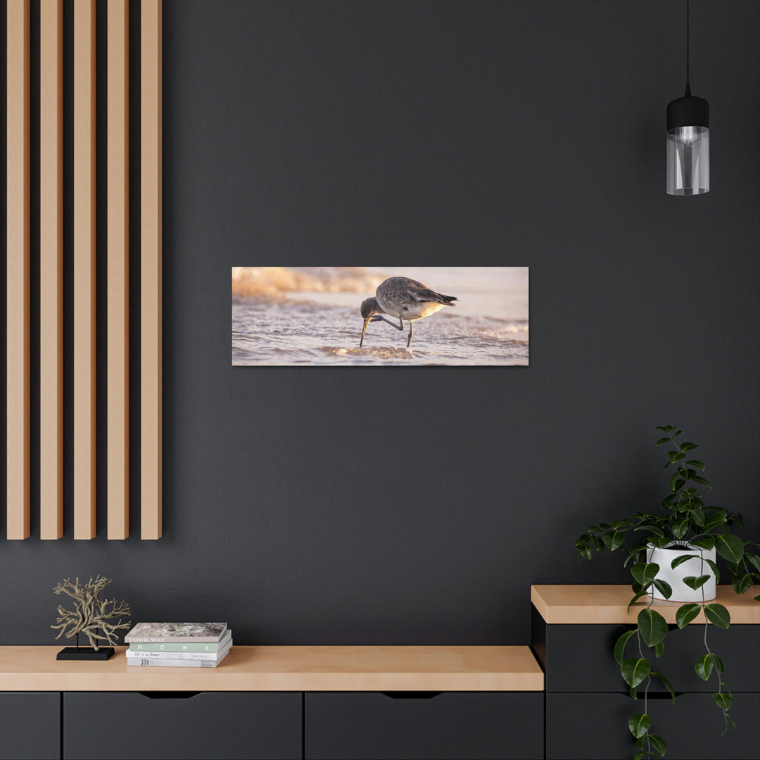 Willet Itch - Canvas