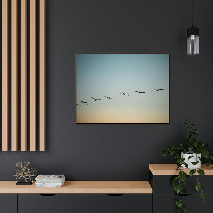 Brown Pelicans in Flight - Canvas with Frame