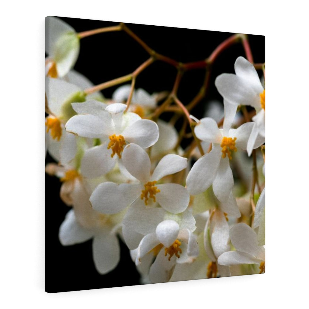 Floral Network - Canvas