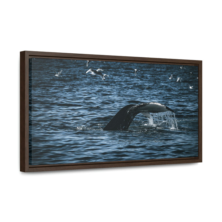 Feeding Tail - Canvas with Frame