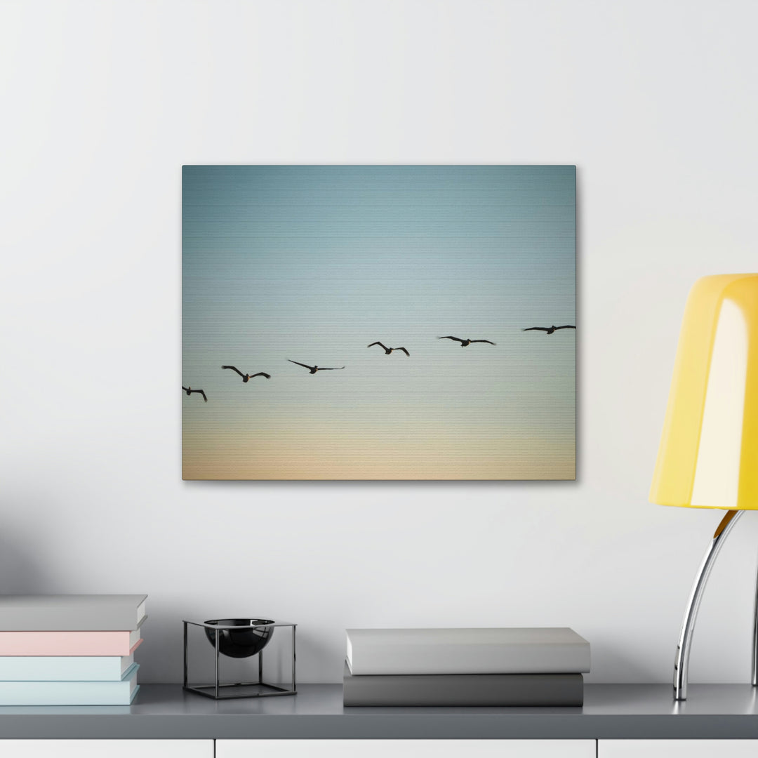 Brown Pelicans in Flight - Canvas