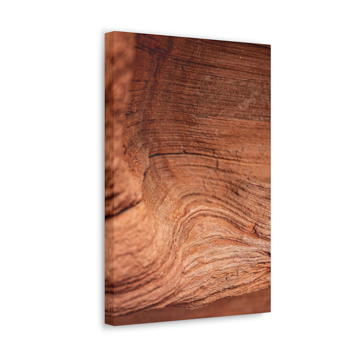 Sedimentary Rock Curves - Canvas