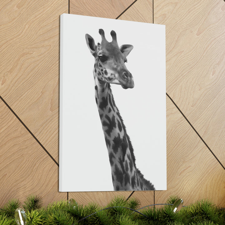 Giraffe Portrait in Black and White  - Canvas