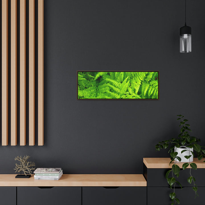 Ferns, Ferns, Ferns - Canvas with Frame