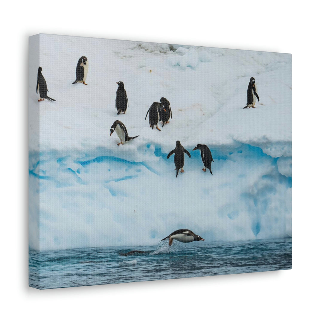 Porpoising Penguin - Canvas