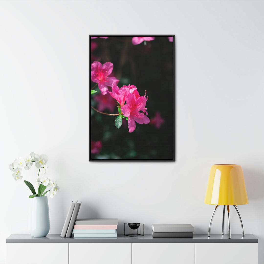 Standout Azalea - Canvas with Frame - Visiting This World