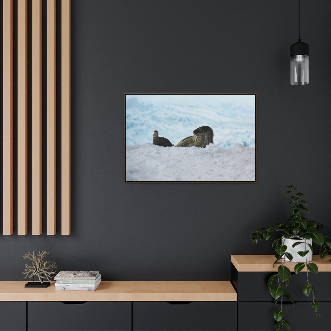 A Resting Pair - Canvas with Frame