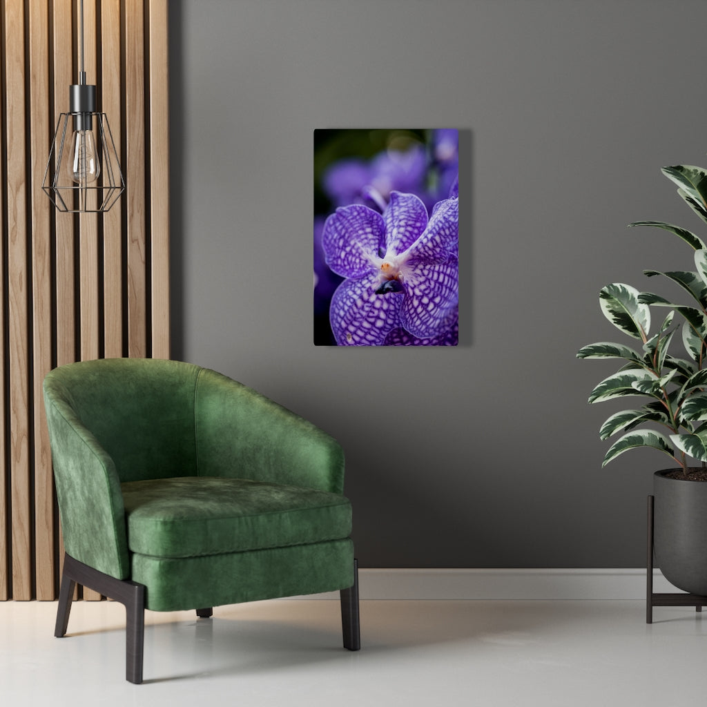 Orchid Detail - Canvas