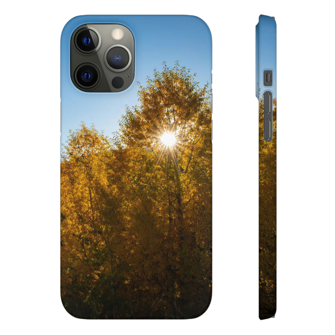 Sun Through the Aspens - Phone Case