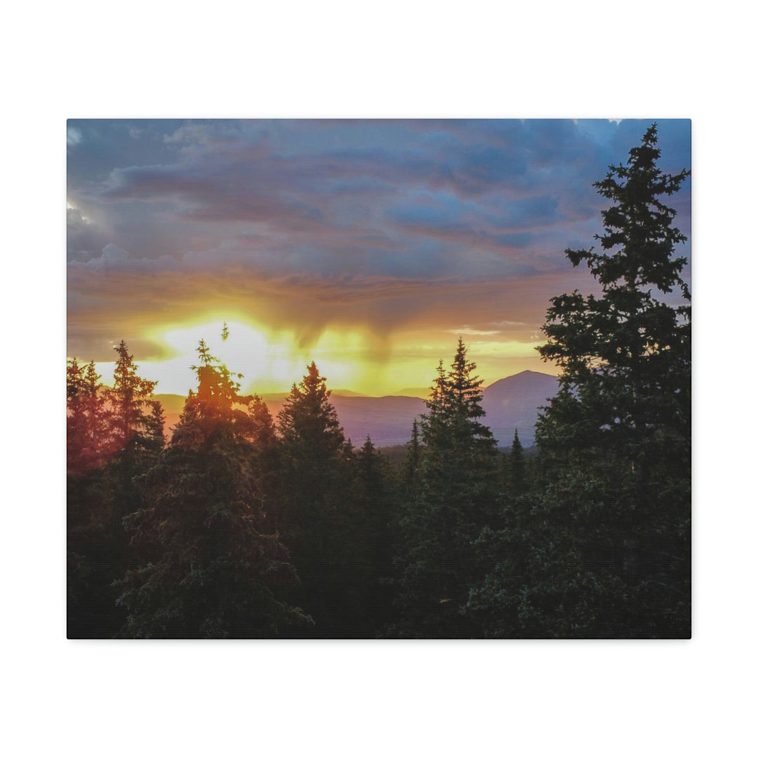 Rainy Sunset Through the Trees - Canvas