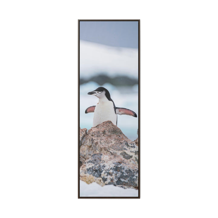 Stretched Penguin - Canvas with Frame