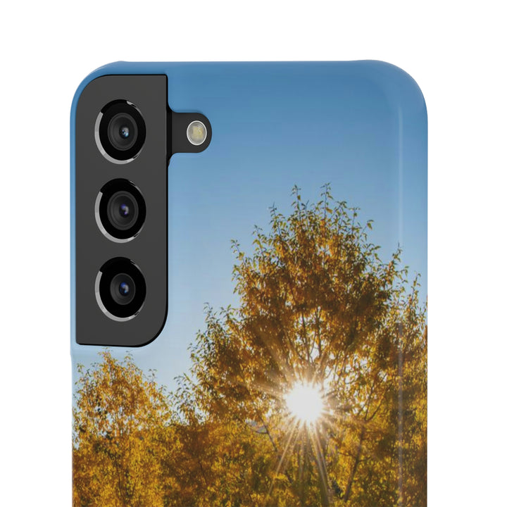 Sun Through the Aspens - Phone Case