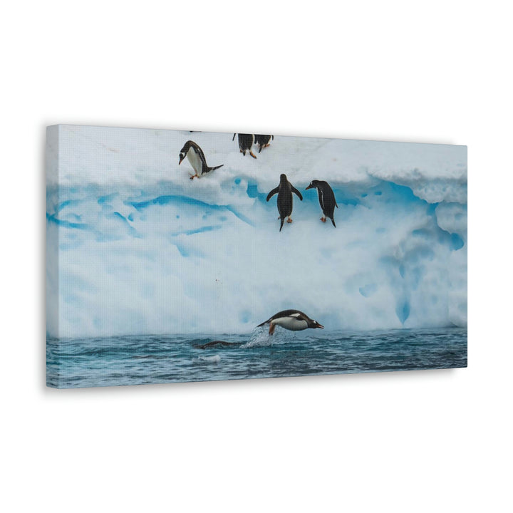 Porpoising Penguin - Canvas