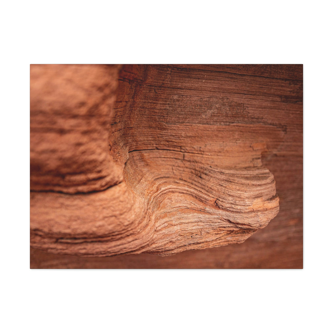 Sedimentary Rock Curves - Canvas