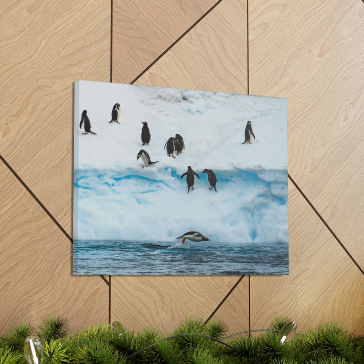 Porpoising Penguin - Canvas