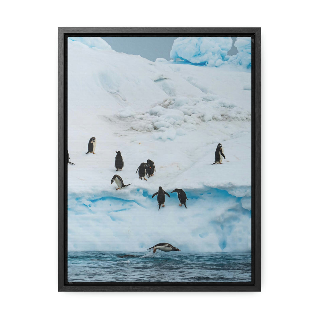 Porpoising Penguin - Canvas with Frame