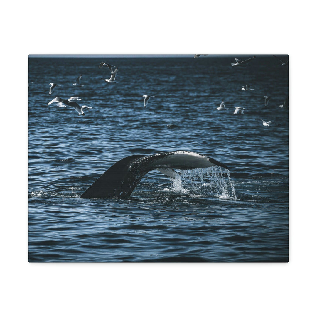 Feeding Tail - Canvas