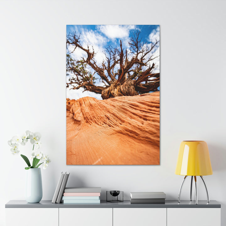 Desert Reach - Canvas