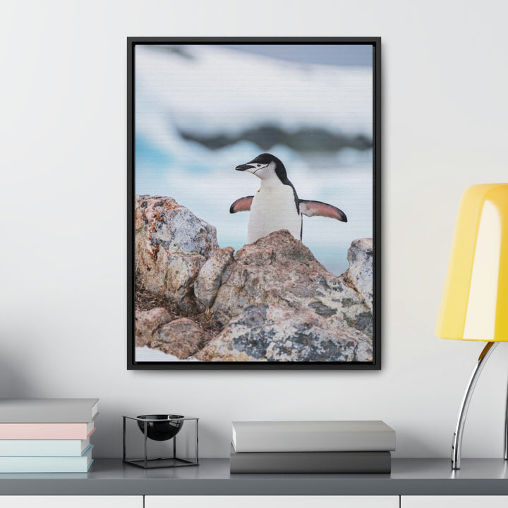 Stretched Penguin - Canvas with Frame