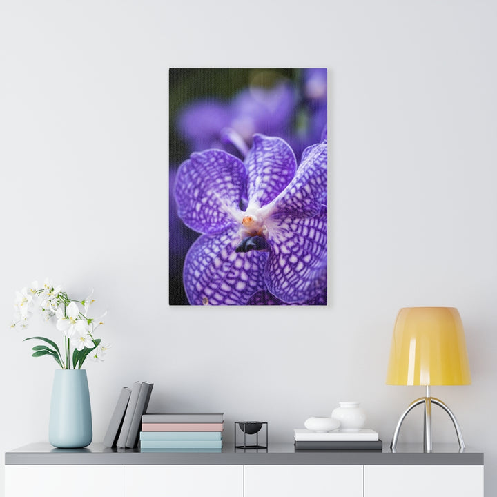 Orchid Detail - Canvas