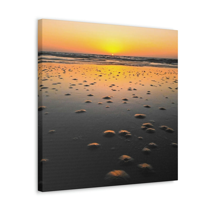 Burrows at Sunrise - Canvas