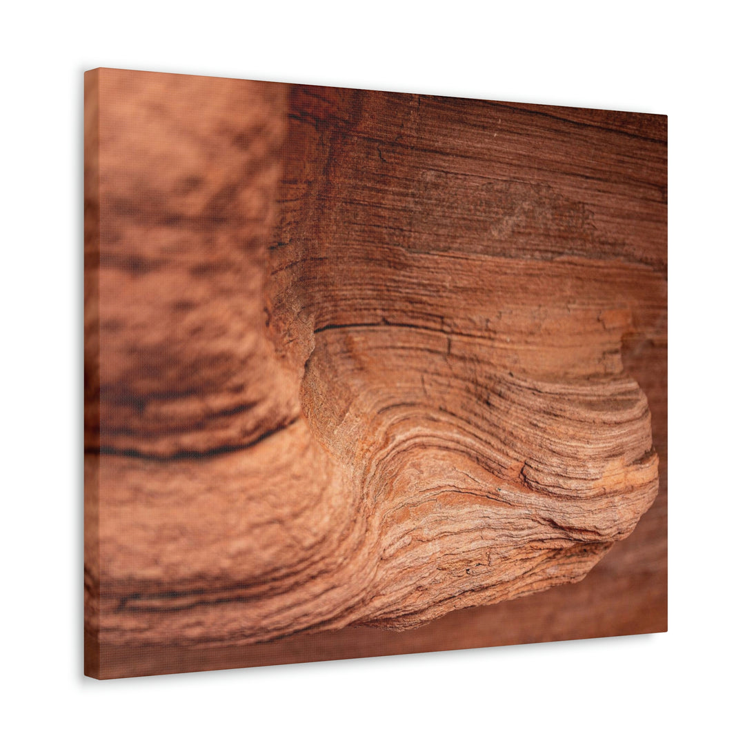 Sedimentary Rock Curves - Canvas