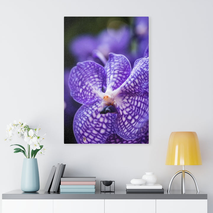 Orchid Detail - Canvas