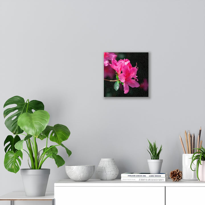 Standout Azalea - Canvas